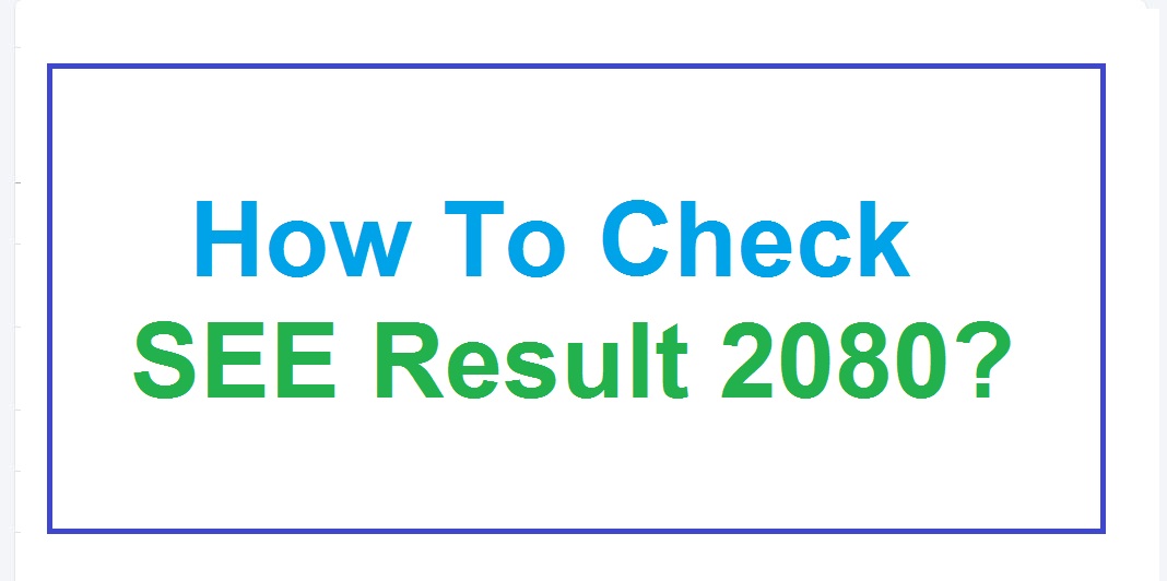 how to check see result 2080