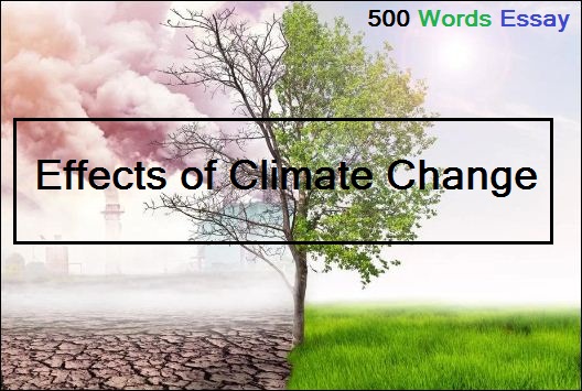 essay on effects of climate change 