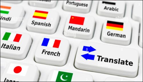 paid language translation job